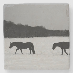 Posavasos De Piedra Caballos en la montaña rusa de piedra de nieve