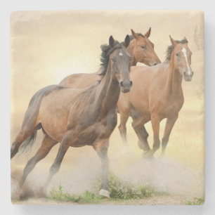 Posavasos De Piedra Caballos en puesta del sol