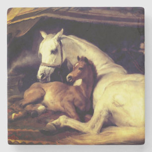 Posavasos De Piedra Caballos Landseer