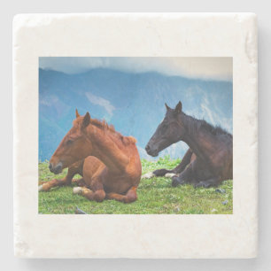 Posavasos De Piedra Caballos Moody Mountain: Un Viaje de Arte Refinado