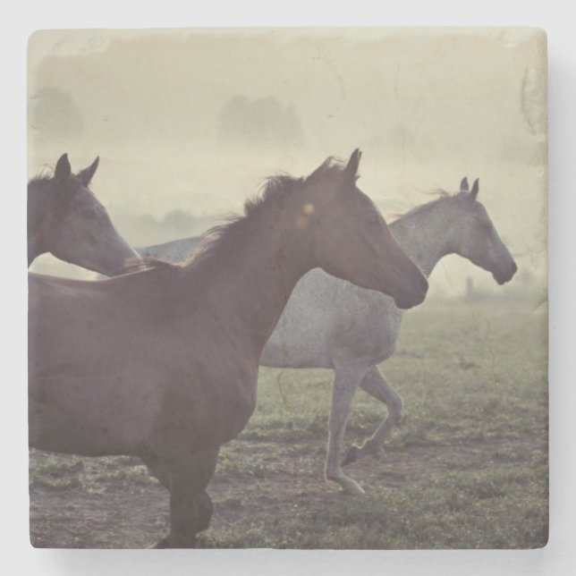 Posavasos De Piedra Caballos salvajes (Anverso)