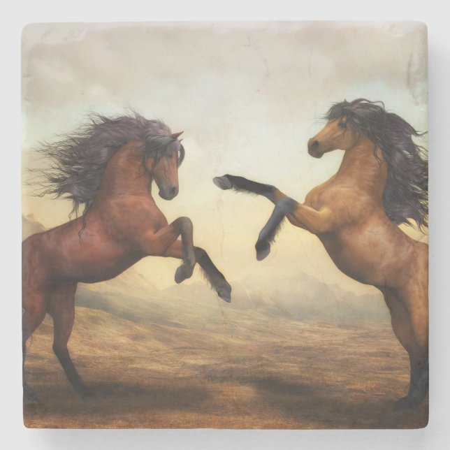 Posavasos De Piedra Caballos salvajes (Anverso)