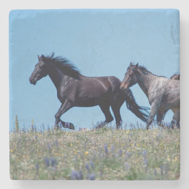 Posavasos De Piedra Caballos salvajes en Lupine (Anverso)