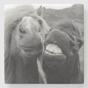 Posavasos De Piedra Caballos sonrientes de las imágenes el de Getty