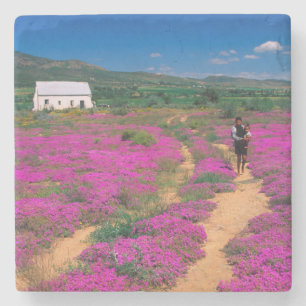 Posavasos De Piedra Cabaña, flores y niña, cerca de Kamieskroon