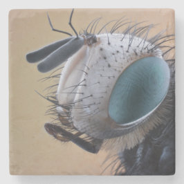 Posavasos De Piedra Cabeza de error de insecto de cierre