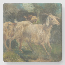 Cabras (por Vincenzo Caprile)