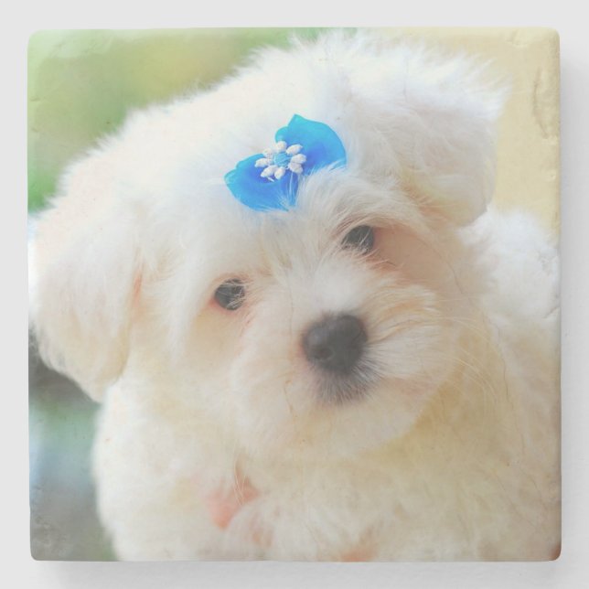 Posavasos De Piedra Cachorro (Anverso)