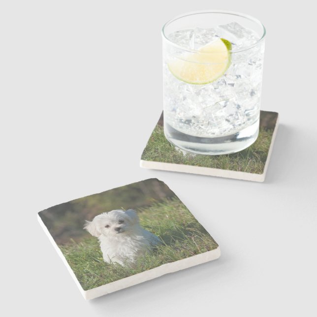 Posavasos De Piedra Cachorro blanco lindo (Lateral)
