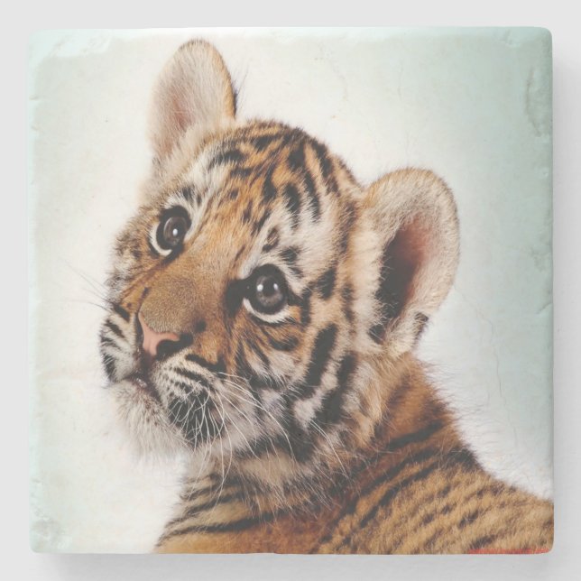 Posavasos De Piedra Cachorro de Tigre (Anverso)