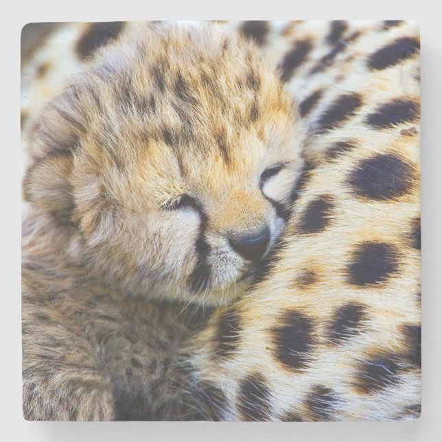 Posavasos De Piedra Cachorro guepardo (Anverso)