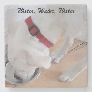 Posavasos De Piedra Cachorro Labrador Blanco Mezcla Lindo Bebiendo Agu
