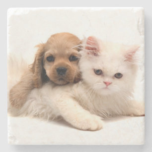 Posavasos De Piedra Cachorro y gatito