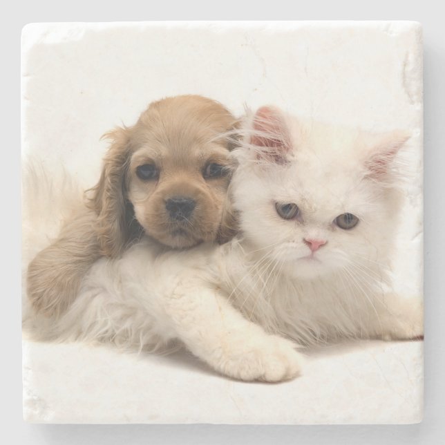 Posavasos De Piedra Cachorro y gatito (Anverso)