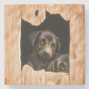 Posavasos De Piedra Cachorros Espiando a Través de una Valla de Madera