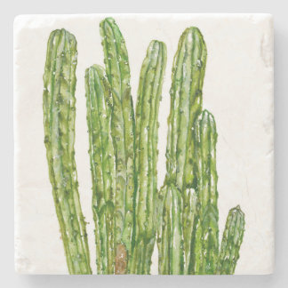 Posavasos De Piedra Cacti