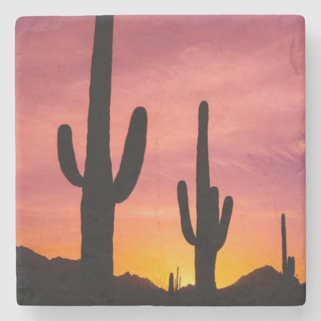 Posavasos De Piedra Cactus de Saguaro al amanecer, Arizona (Anverso)