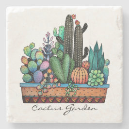 Posavasos De Piedra Cactus Garden Cute Watercolor En Pot