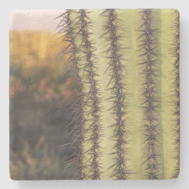 Posavasos De Piedra Cactus Saguaro, Arizona, escayola de piedra cuadra