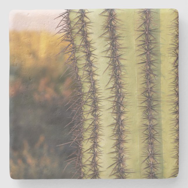 Posavasos De Piedra Cactus Saguaro, Arizona, escayola de piedra cuadra (Anverso)