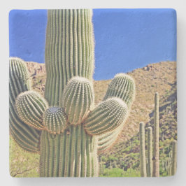 Posavasos De Piedra Cactus Saguaro, Arizona, escayola de piedra cuadra