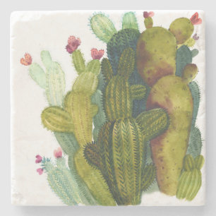 Posavasos De Piedra Cactus, suculentas: acuarela vintage.