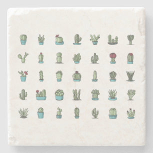 Posavasos De Piedra Cactus Suculentas Plantas Botánico Dibujado a Mano