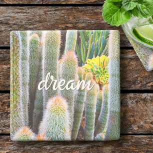 Posavasos De Piedra Cactus Verde Borroso Fotografía Sueño Script
