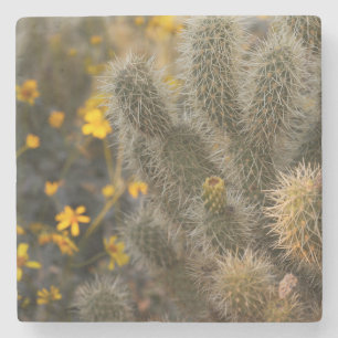 Posavasos De Piedra cactus y flores silvestres