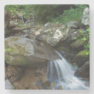 Posavasos De Piedra Cae bajo hueco oscuro, Shenandoah