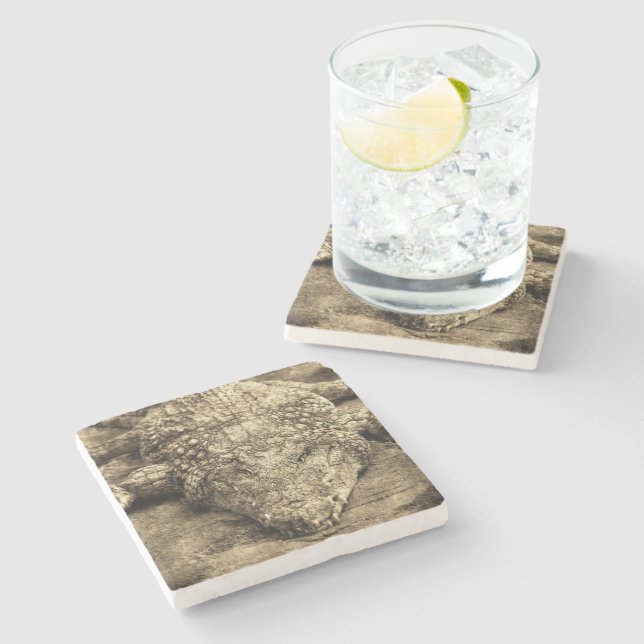 Posavasos De Piedra Caimán Antiguo (Lateral)