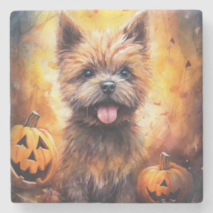 Posavasos De Piedra Cairn Terrier de Halloween con Calabazas Espeluzna