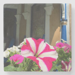 Posavasos De Piedra Caja de flores de primavera - Viñedo de Martha