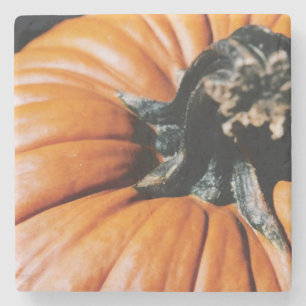 Posavasos De Piedra Calabaza