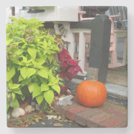 Posavasos De Piedra Calabaza y Coleus - Viñedo de Martha