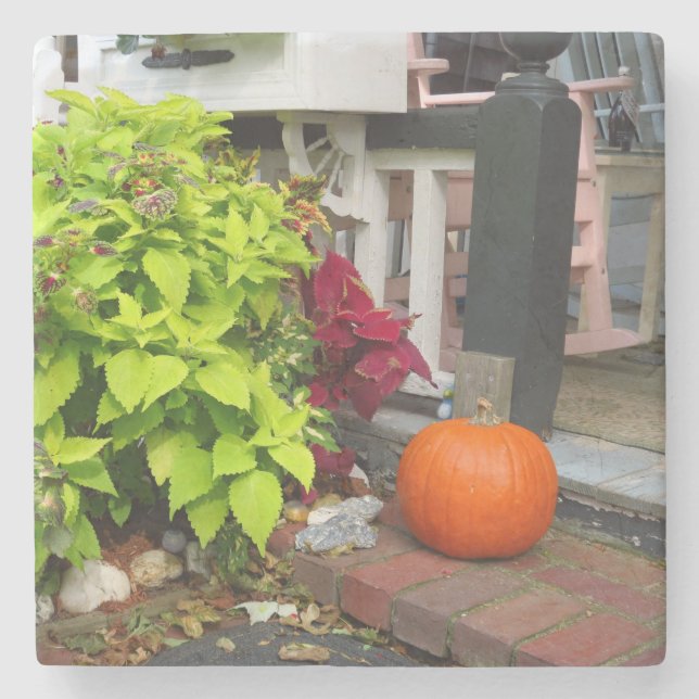 Posavasos De Piedra Calabaza y Coleus - Viñedo de Martha (Anverso)