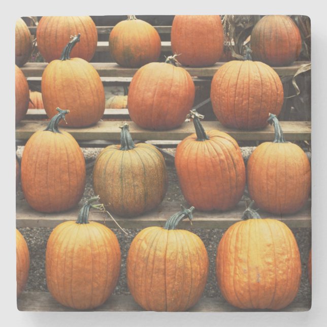 Posavasos De Piedra Calabazas de otoño (Anverso)