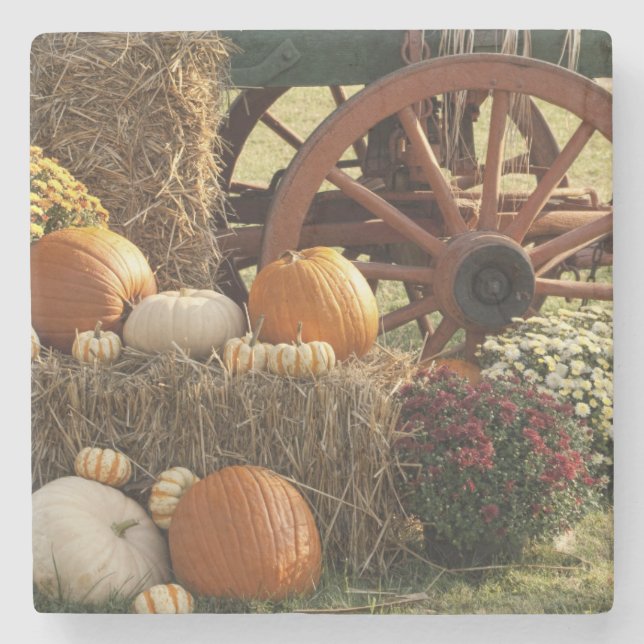Posavasos De Piedra Calabazas Otoño Y Pantalla De Mamá (Anverso)