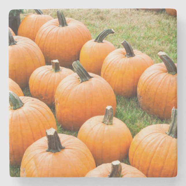 Posavasos De Piedra Calabazas para la venta en el mercado de un (Anverso)