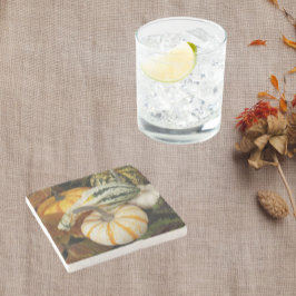 Posavasos De Piedra Calabazas y fotos de la vida muerta