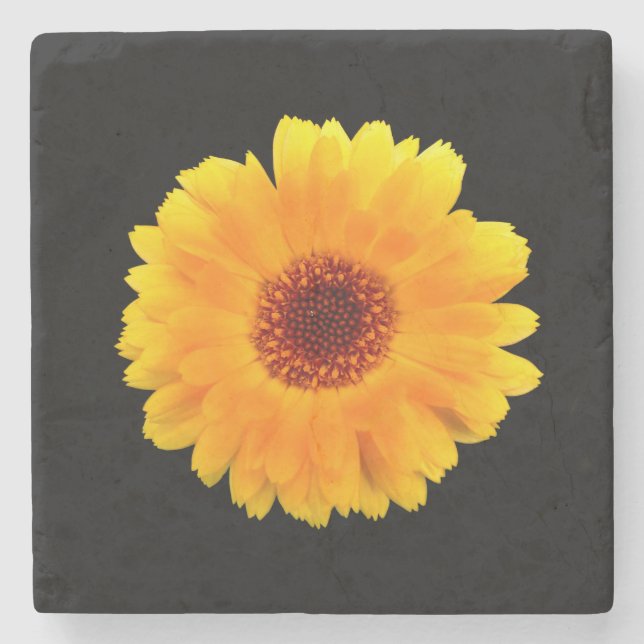 Posavasos De Piedra Calendula Officinalis (Anverso)