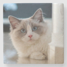 Posavasos De Piedra Calico