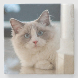 Posavasos De Piedra Calico