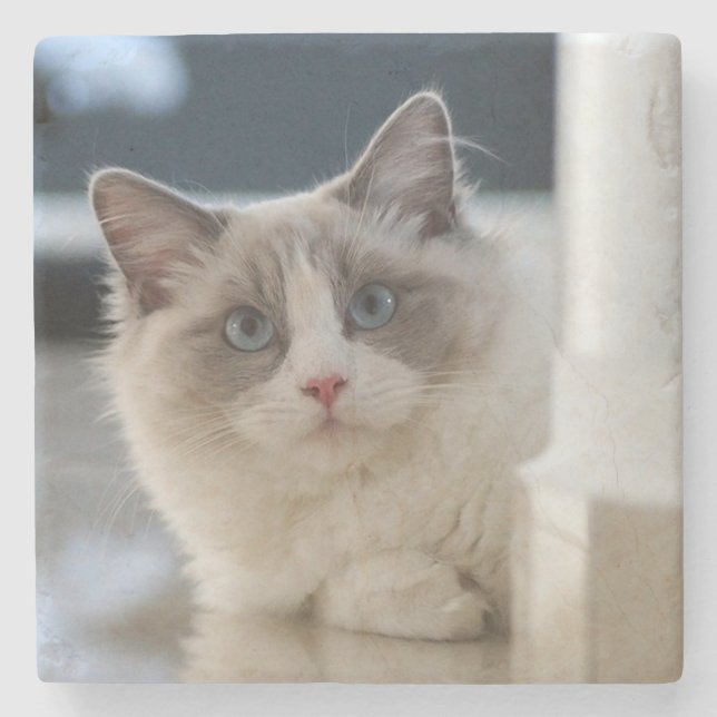 Posavasos De Piedra Calico (Anverso)