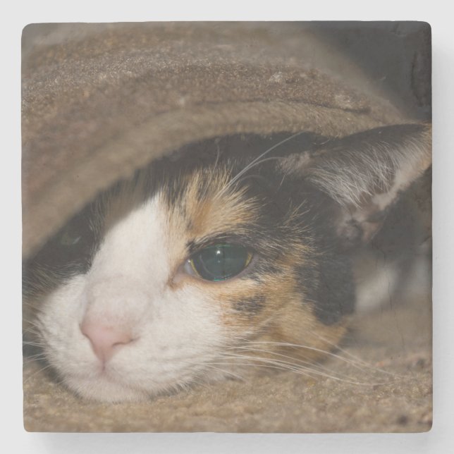 Posavasos De Piedra Calico Taco (Anverso)