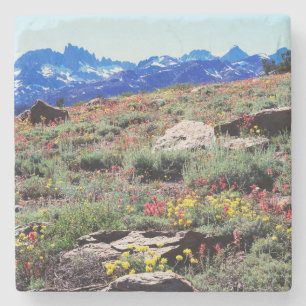 Posavasos De Piedra California, Sierra Nevada Montañas 1