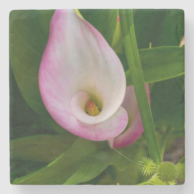 Posavasos De Piedra Calla Roll (Anverso)