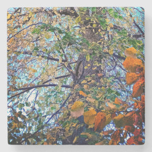 Posavasos De Piedra Cambio en las hojas