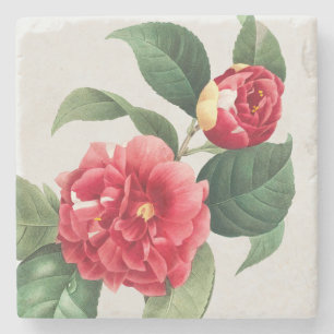 Posavasos De Piedra Camelia Variada, Pierre-Joseph Redouté, 1833