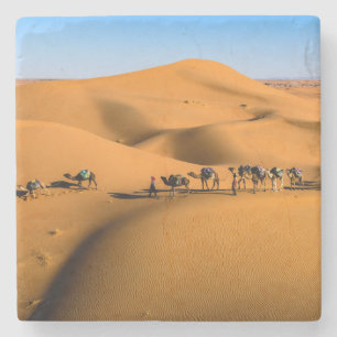 Posavasos De Piedra camellos en el desierto bajo cielo azul